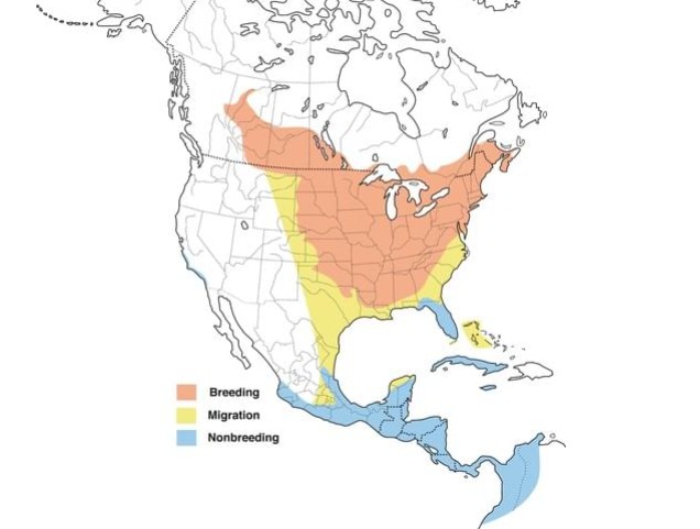 An Unexpected Visitor – McCuration