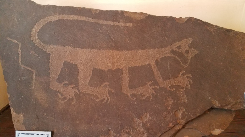 Petrified Forest National Park – McCuration